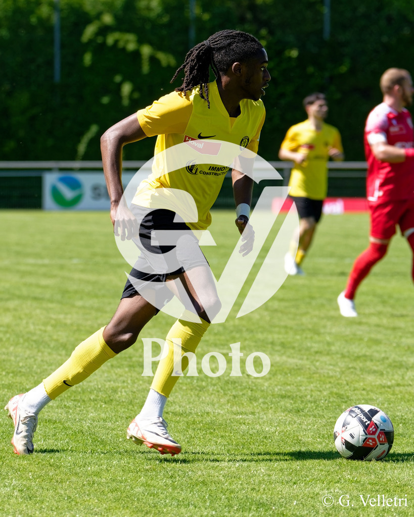 DSC_7654 | Velletri Photo