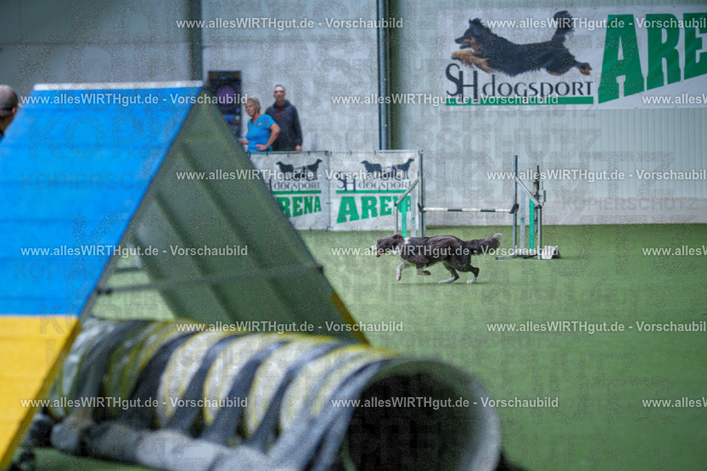 @allesWIRTHgut_Tierfotografie - www.allesWIRTHgut.de - 2604251241-7R502516 | Professionelle Tierfotografie in Mönchengladbach von Daniel Wirth (allesWIRTHgut). Liebevolle & natürliche Bilder von Hunden & Katzen für unvergessliche Erinnerungen.