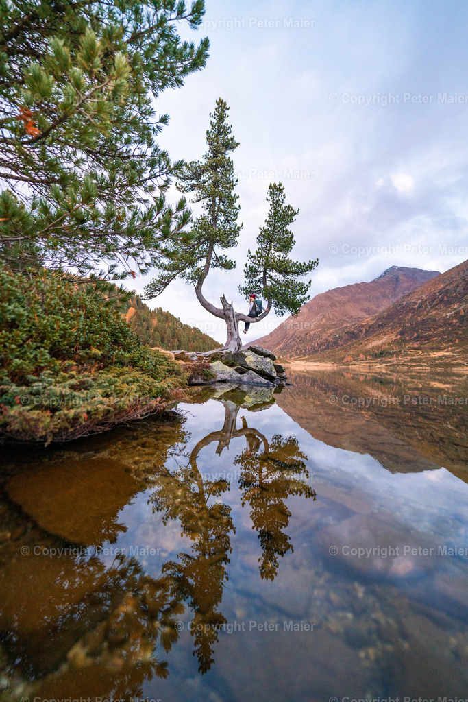 Defereggental_Herbst_Oktober_2024-508 | piet_flosse