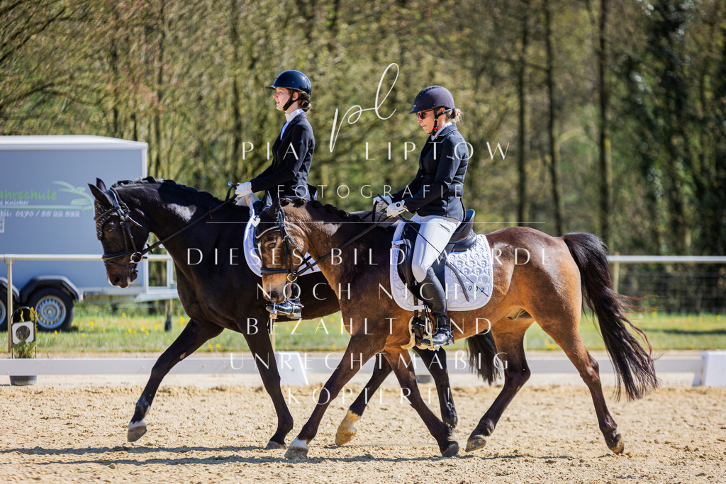 IMGT2239 | pl-fotografie