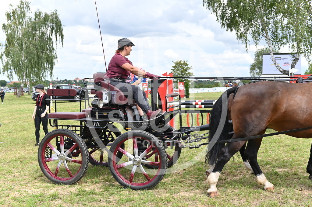 DSC_4276 | sattelsport - Realisiert mit Pictrs.com