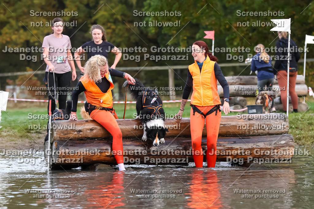 Dog Paparazzi - Strongdog 10-25-6463 | Dog Paparazzi Jeanette Grottendiek Fotografie & Videografie