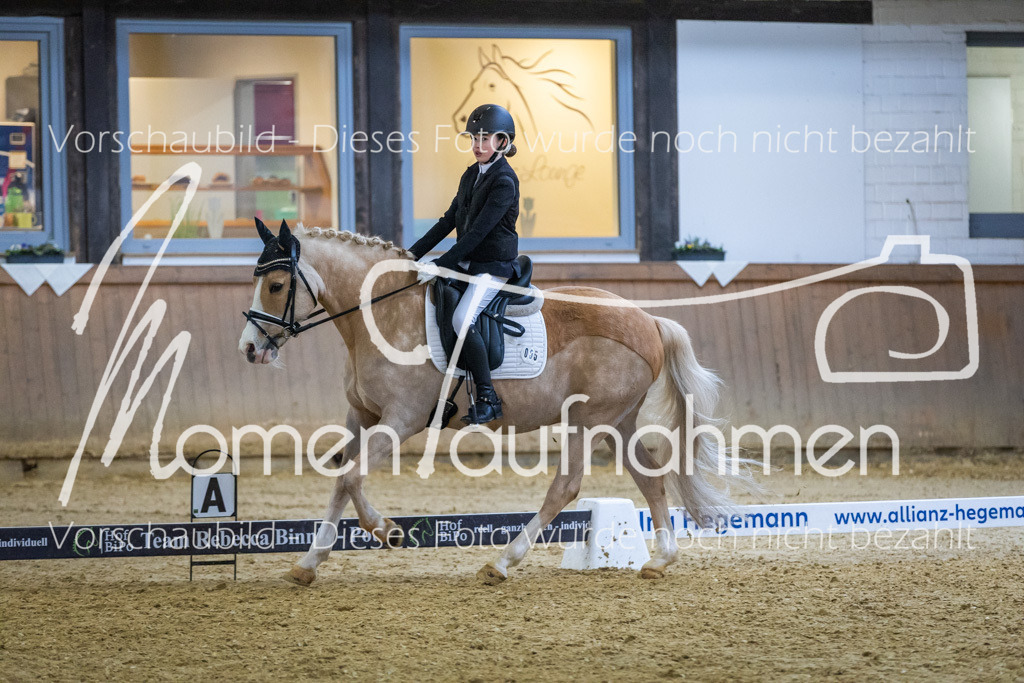 Sth-WBO25-EDr-078 | MomenTaufnahmen Pferdesportfotos