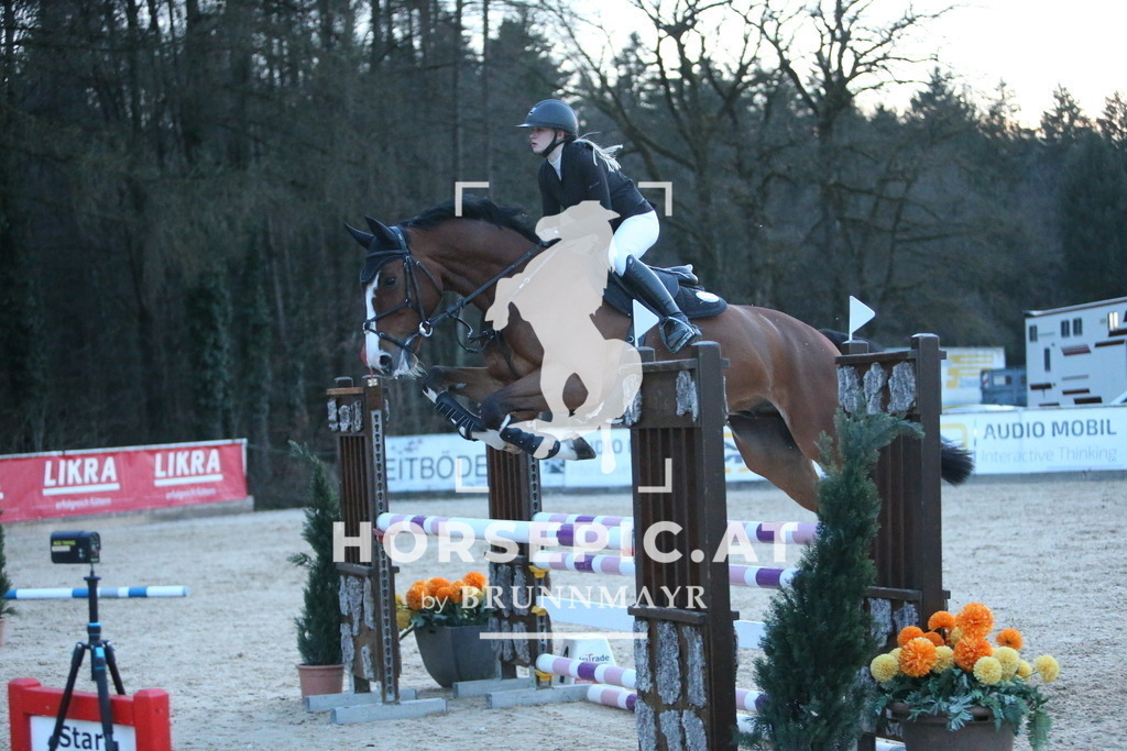 DL2Q4971 | Willkommen bei Brunnmayr - Design & Fotografie – Ihrem Spezialisten für Reitturniere und Pferdeveranstaltungen in Oberösterreich, Salzburg und Bayern! Seit über 17 Jahren sind wir leidenschaftlich dabei.