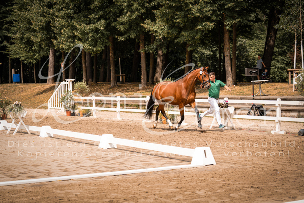 3.Fr00036 | Leoni Ertmer Photography - Realisiert mit Pictrs.com