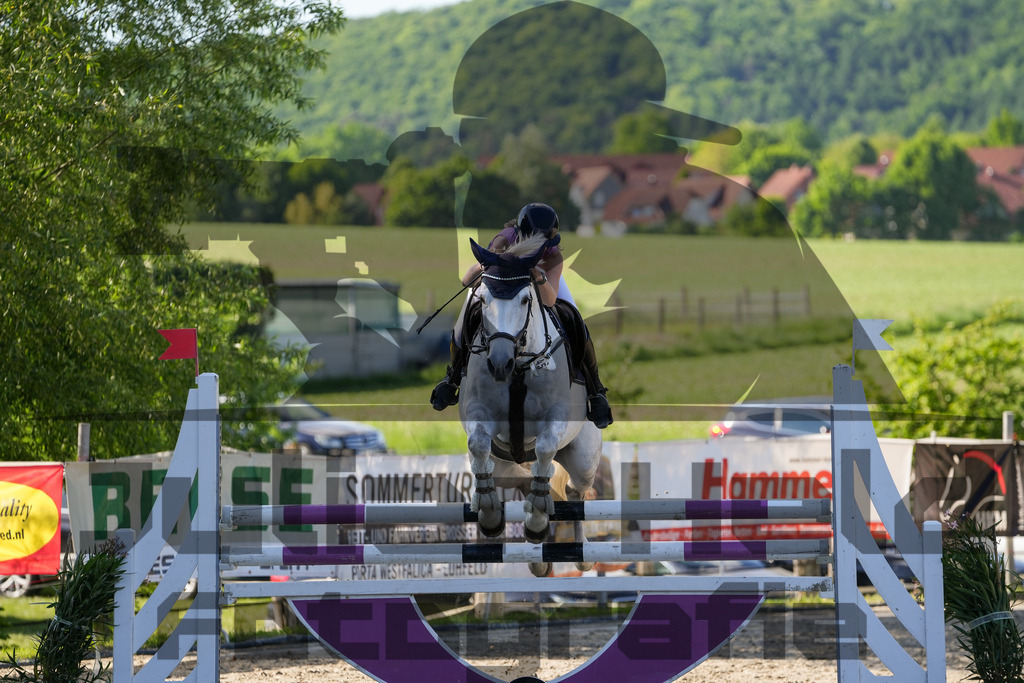 DSC02515 | Julian Held Fotografie - Realisiert mit Pictrs.com