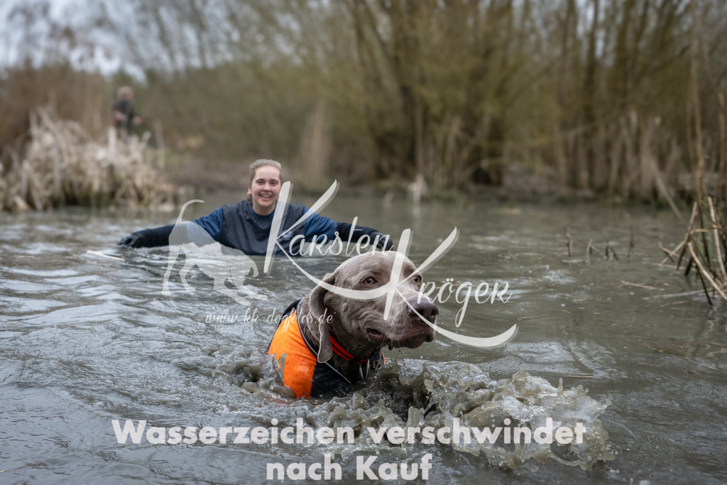 1006_ZZ95766 | kk-dogfotos