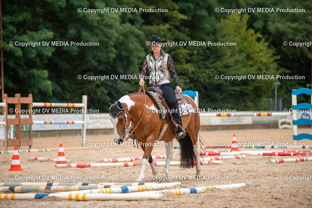 ZS2_7928 | dv-media-shop - Realisiert mit Pictrs.com