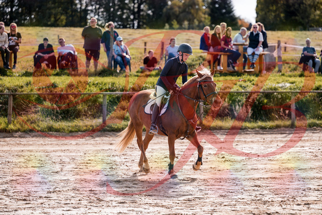 2026_10_03_Siefer-Hof_144740_Z81_25544631 | Professionelle Reitsport-, Turnier- und Eventfotografie von Robert Broda. Galerien mit ausgewählten und bearbeiteten Bildern direkt online ansehen und bestellen.