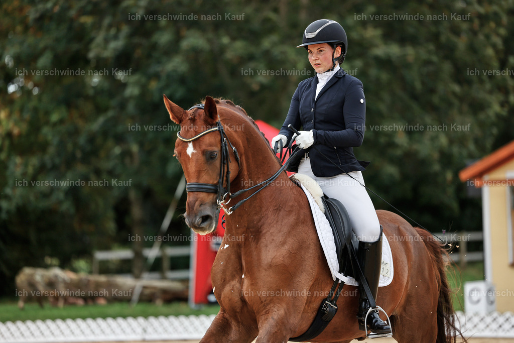 04_1-112-Dressur M__ -StoibPH-StoibPH-2666 | working equitationturnier fotograf videograf stoibphotography marixx film working equitation deutschland reitsport turnierfotografie eventfotografie equestrian events