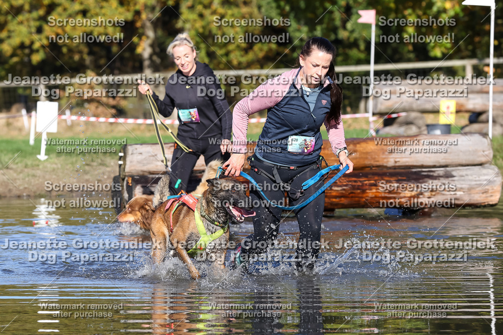 Dog Paparazzi - Strongdog 10-25-8943 | Dog Paparazzi Jeanette Grottendiek Fotografie & Videografie - Realisiert mit Pictrs.com