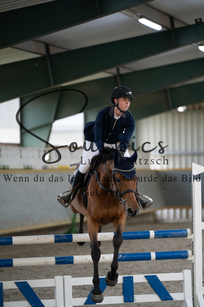 A7V07455 | Pferdefotograf