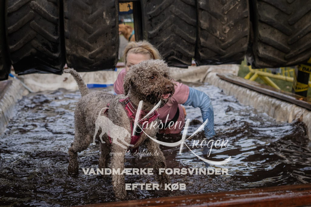 1451_ZZ90523 | kk-dogfotos