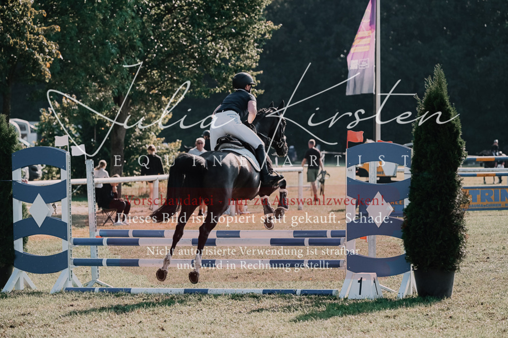 DSC_4700 | Pferde- und Turnierfotografie in Westsachsen. Pferdeportraits, Auftragszeichnungen und intuitive Kunst.