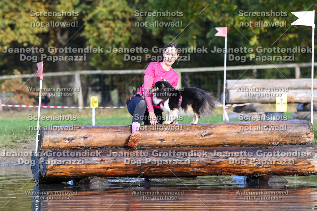 Dog Paparazzi - Strongdog 10-25-8521 | Dog Paparazzi Jeanette Grottendiek Fotografie & Videografie - Realisiert mit Pictrs.com