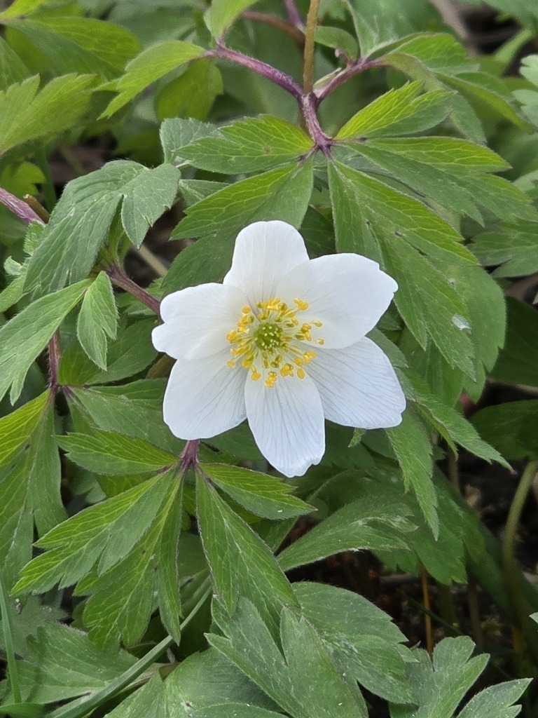 20250418_152329 | Heilkarten - Realisiert mit Pictrs.com