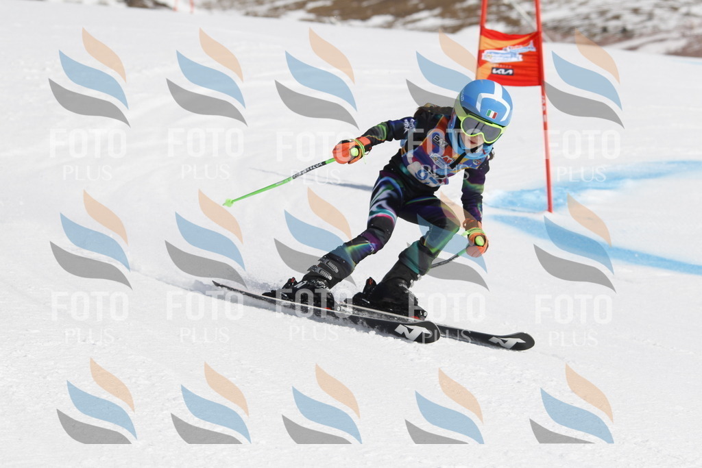 _U3G0278 | holidayphoto