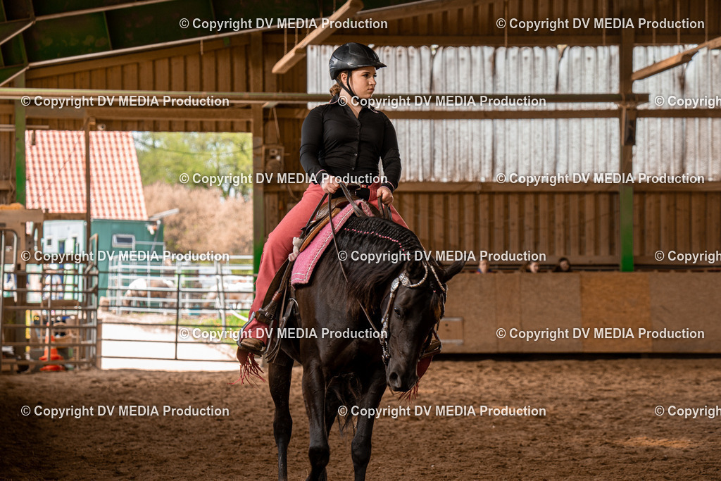 BAL02164 | dv-media-shop - Realisiert mit Pictrs.com