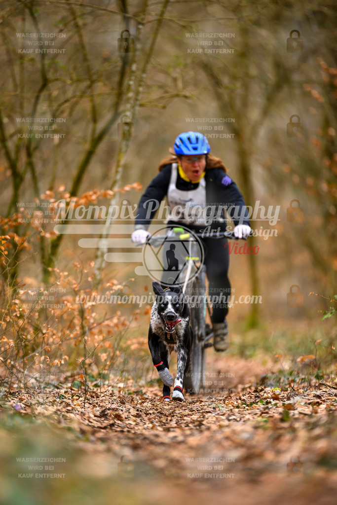 MompixPhotography_ReiatRennen2024_SO_Bike1H-15 | PayLife