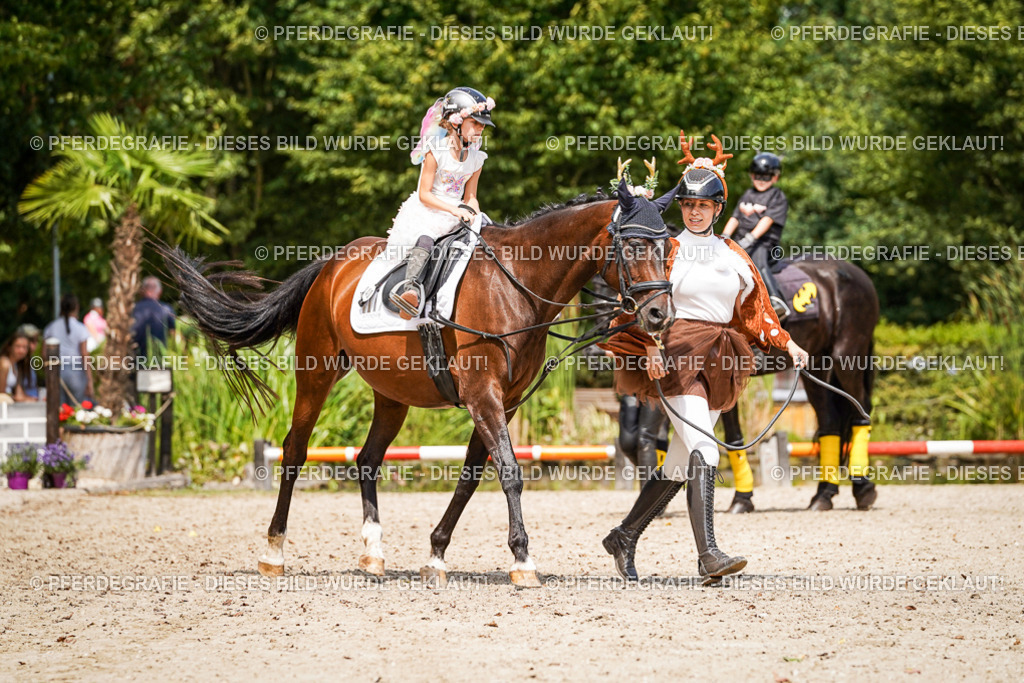 DSC03130 | Pferdegrafie