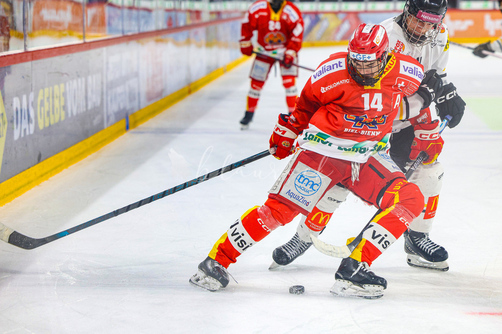 701A3350 | Sportbilder, Sportfotograf, Hochzeits- und Eventfotografin, Flugshows, Portraits und Tiershooting, Aviation, Downhill, Nationalleague, Swissleague, International