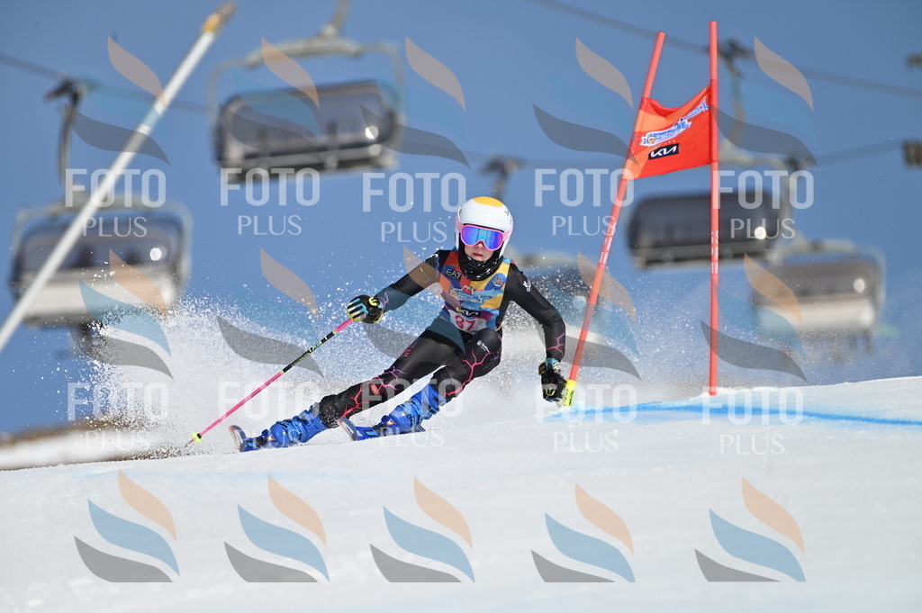 BGV_8277 | holidayphoto