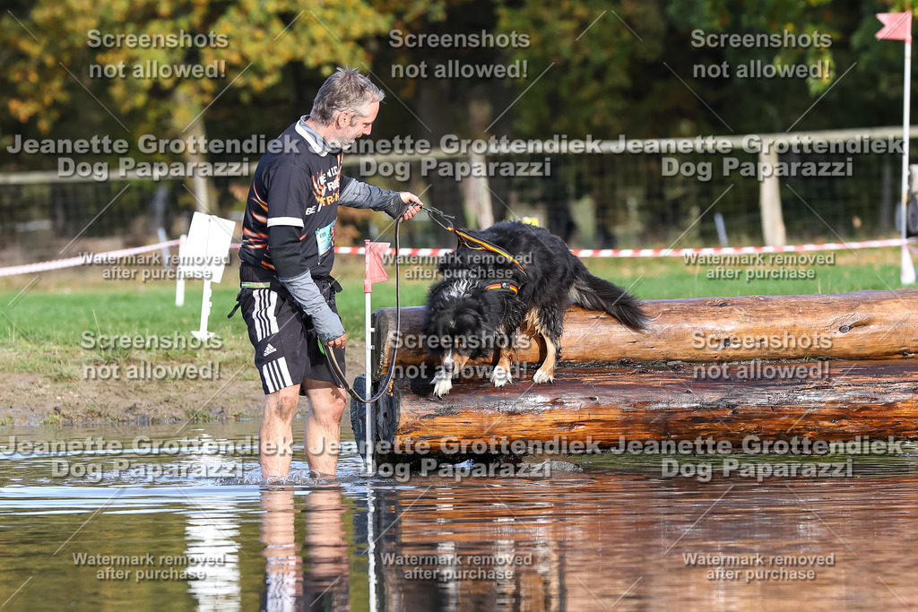 Dog Paparazzi - Strongdog 10-25-8361 | Dog Paparazzi Jeanette Grottendiek Fotografie & Videografie - Realisiert mit Pictrs.com