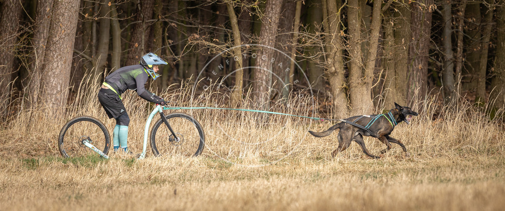 DV3A4771 | Hundefotografie, Tierfotograf, Pfotenfotografie, Fotoshooting Hund, Hunde Portrait, Hundesport, Hundeportraits, Heideshooting, Hunde, Sportfotograf, Hundefotograf, Turnierhundsport, THS,  - Realisiert mit Pictrs.com