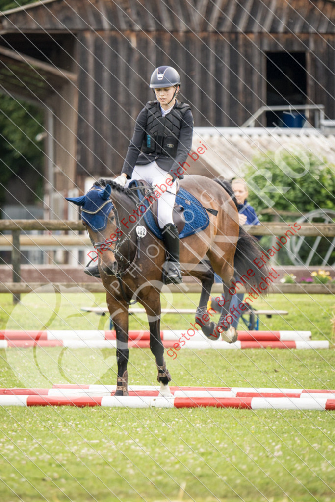 IMG_2576 | Sport-, Event- und Tierfotos in Profiqualität. Einfach auswählen, bestellen und herunterladen. Dein Moment – perfekt festgehalten.