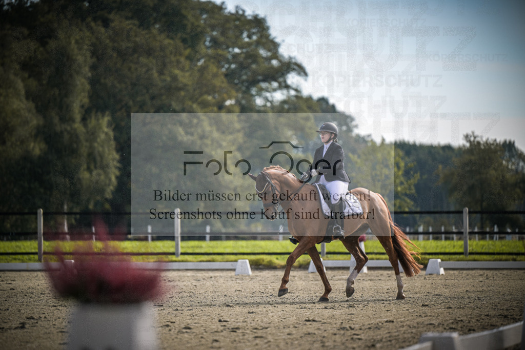 DOS_1150 | Entdecke hochwertige Reitturnierfotos von Foto Oger. Professionell, emotional und authentisch – jetzt Lieblingsmomente im Shop bestellen.Deutschlandweite Turnierfotografie. - Realisiert mit Pictrs.com