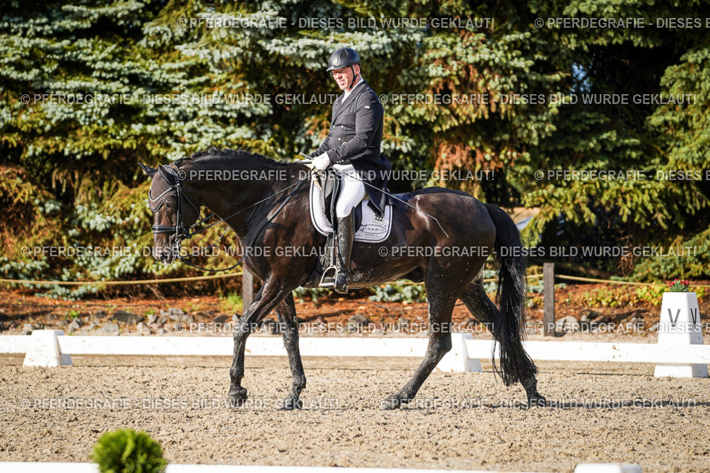 DSC00870 | Pferdegrafie