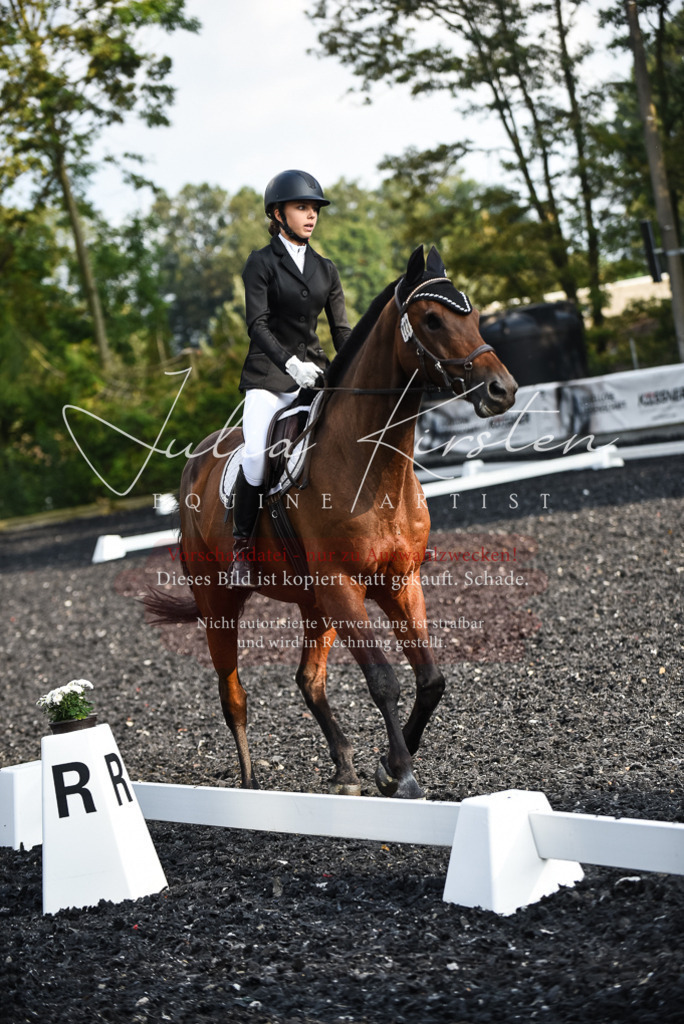 DSC_3499 | Pferde- und Turnierfotografie in Westsachsen. Pferdeportraits, Auftragszeichnungen und intuitive Kunst.