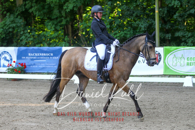 DKP42931 | Turniersportfotografie; Pferdefotografie; Dressurfotografie