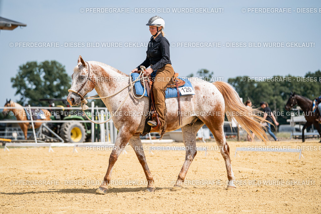 DSC00563 | Pferdegrafie