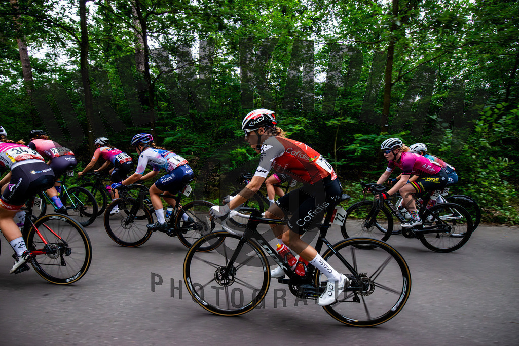 _DK81015-Enhanced-NR | Drew Kaplan Photography