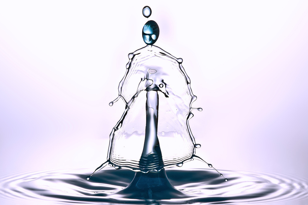 Tropfen-03 | In diesem Shop werden vorwiegend künstlerisch hochstehende Aufnahmen aus dem Bereich der Naturfotografie zum Verkauf angeboten. - In this store mainly artistic high quality shots from the field of nature photography are offered for sale. - Realisiert mit Pictrs.com