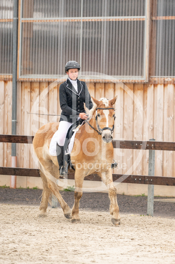 DSC_4182 | sattelsport - Realisiert mit Pictrs.com