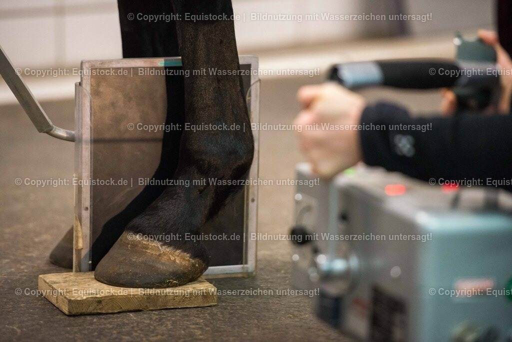 20170113_R__ntgen_0016 | Foto: Thomas Hartig