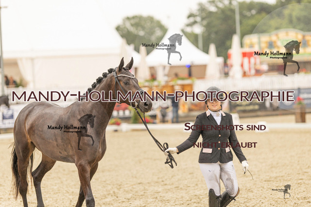 SW 4-708 | mandyhollmannphotographie