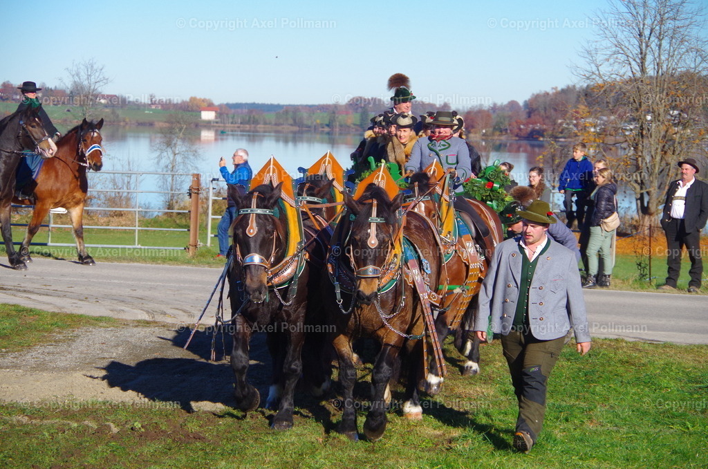 IMGP7540 | fotografiert von Axel PollmannLeonhardi Wallfahrt Benediktbeuern und Murnau, Fronleichnam, Fasching, Landschaft im Loisachtal und Benediktbeuern  - Realisiert mit Pictrs.com