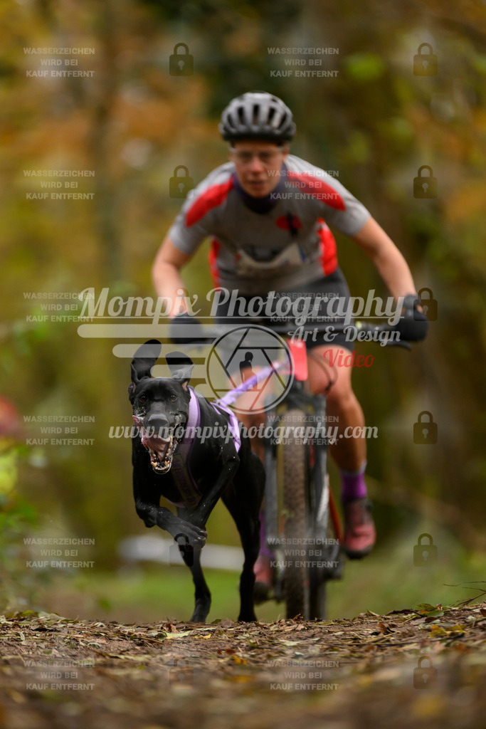 MompixPhotography_Bischwiller24_SA_VTT-23 | PayLife