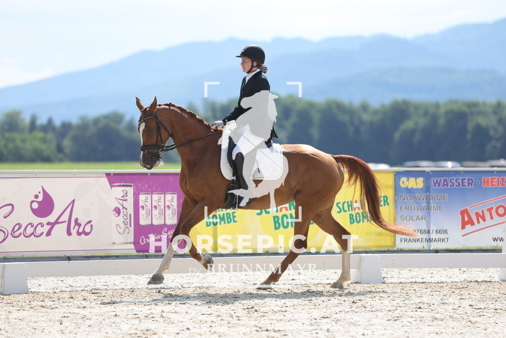 0P6A9008 | Willkommen bei Brunnmayr - Design & Fotografie – Ihrem Spezialisten für Reitturniere und Pferdeveranstaltungen in Oberösterreich, Salzburg und Bayern! Seit über 17 Jahren sind wir leidenschaftlich dabei.