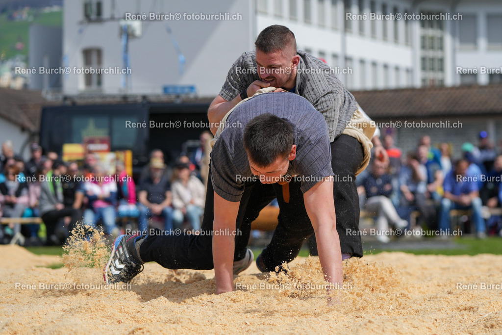 RB_00215 | René Burch leidenschaftlicher Fotograf aus Kerns in Obwalden.  Hier finden sie Sport, Landschaft und Natur Fotografie.
 - Realisiert mit Pictrs.com
