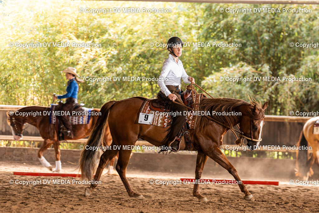 Erbach Tag 1-273 | dv-media-shop - Realisiert mit Pictrs.com