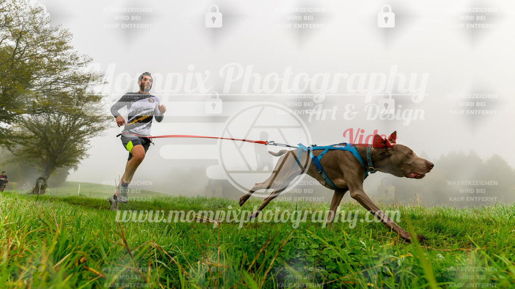 MompixPhotography_20TSB_E5_Run-16 | PayLife