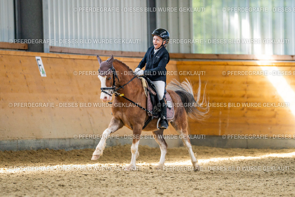 DSC03001 | Pferdegrafie