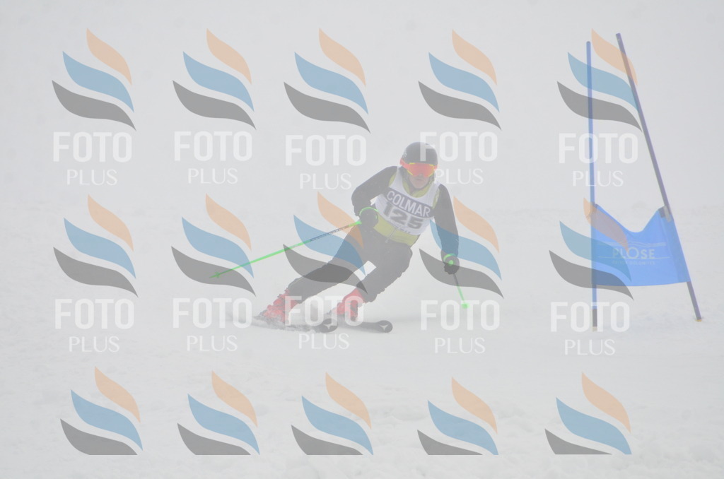 A6035 | holidayphoto