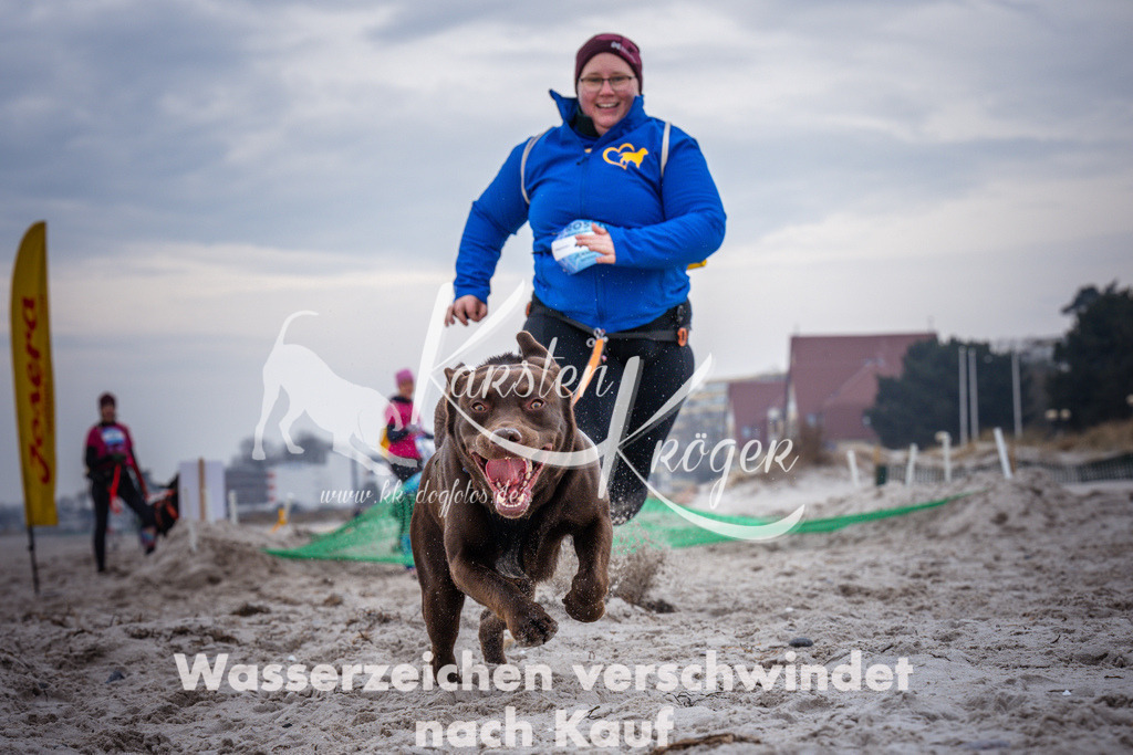 1216_ZZ93158 | kk-dogfotos