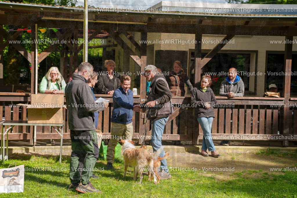 @allesWIRTHgut_Tierfotografie - www.allesWIRTHgut.de - 7R502352 | Professionelle Tierfotografie in Mönchengladbach von Daniel Wirth (allesWIRTHgut). Liebevolle & natürliche Bilder von Hunden & Katzen für unvergessliche Erinnerungen.