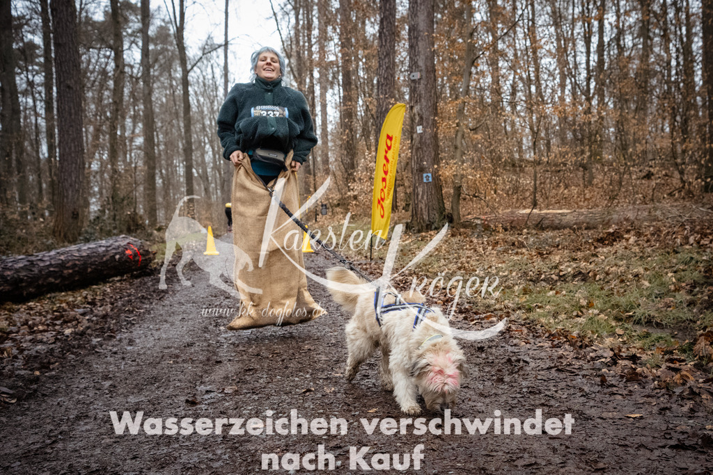 1133_ZZ90736 | kk-dogfotos